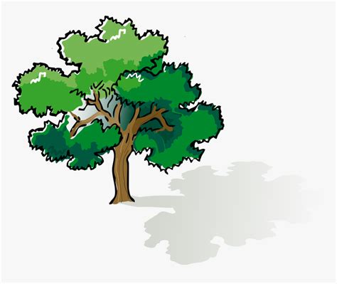 Oak Clipart Leafy Tree - Narra Tree Clip Art, HD Png Download ...