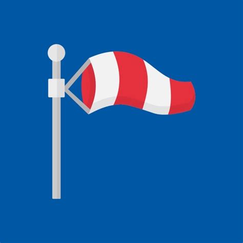 metar taf visual decoder  eveline van den boom