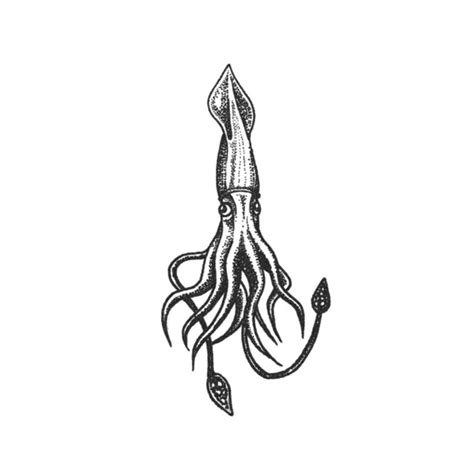 Giant Squid Tattoo | Realistic temporary Tattoos – TattooIcon