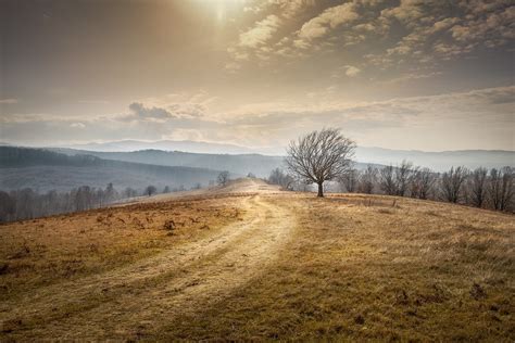 Transylvania Jalan Padang Rumput Foto Gratis Di Pixabay Pixabay