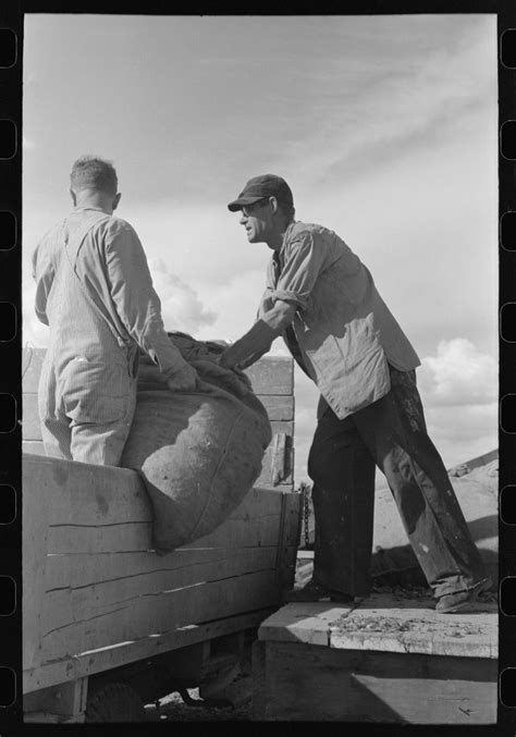 Loading Sack Hops Wagon Transporting Free Photo Rawpixel