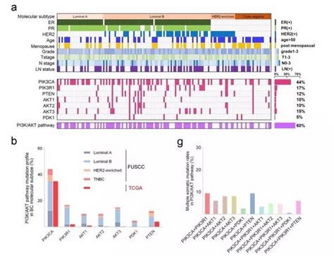 复旦邵志敏团队首次绘制中国乳腺癌人群pi3k Akt通路功能性突变图谱 知乎