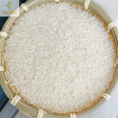 Vietnamese Rice Camolino Rice Medium Grain White Rice 5 Broken