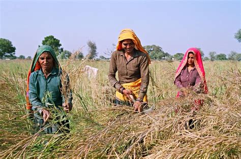 Gender Gap In Labour Market Stagnant Since 1995 Flags Un Report