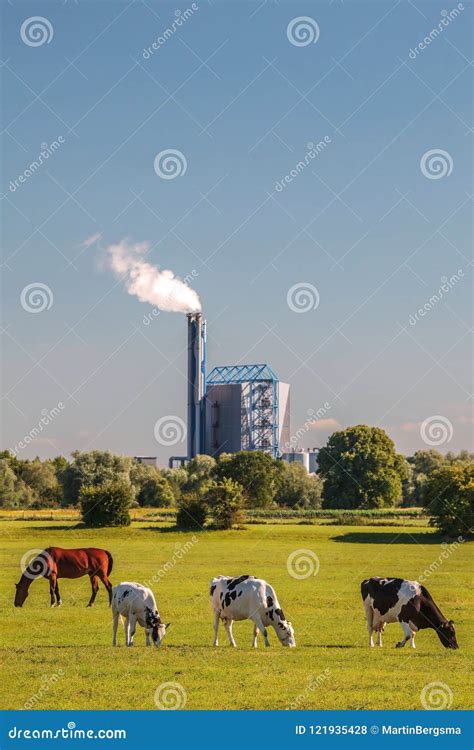 View at a Dutch Waste Incinerator with Cows and Horse in Front I Editorial Stock Photo - Image ...