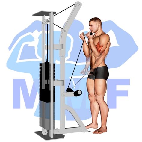 Cable Tricep Kickbacks: Your Guide To Great Form And Rapid Gains