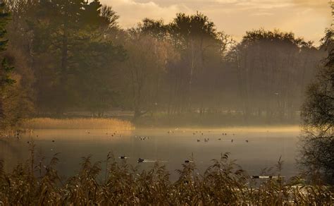 Top Photo Spots at Windsor Great Park in 2024