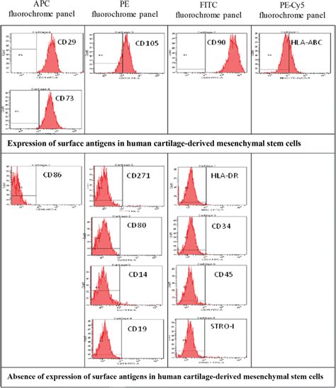 Flow Cytometry Analysis Of Cells Surface Antigens The Cells Were