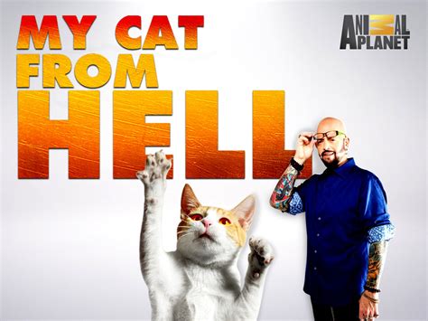 My Cat From Hell Full Episodes Free Online Off