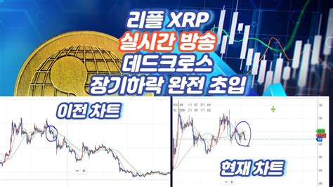 리플 Xrp 실시간 방송 데드크로스 장기하락 완전 초입 Youtube