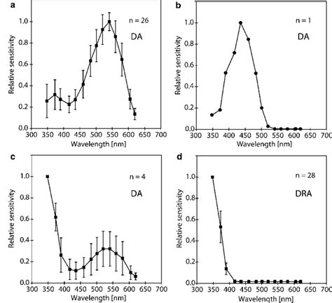 Average Spectral Sensitivity Curves Of Different Photoreceptor Types