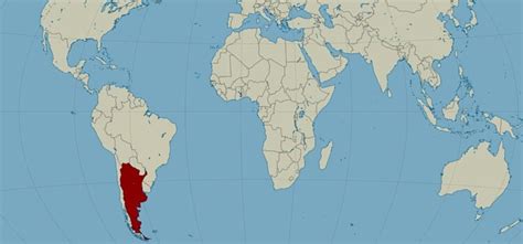 Where Is Argentina On The World Map – Map Vector