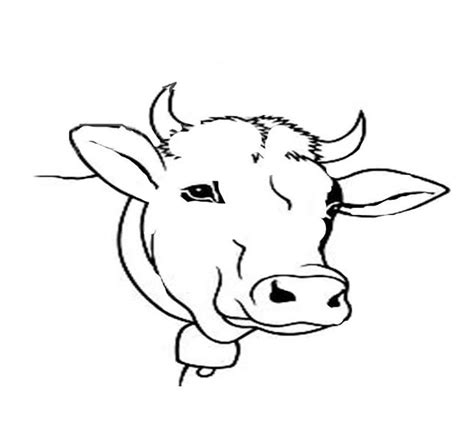 Cow Template Animal Templates Free And Premium Templates