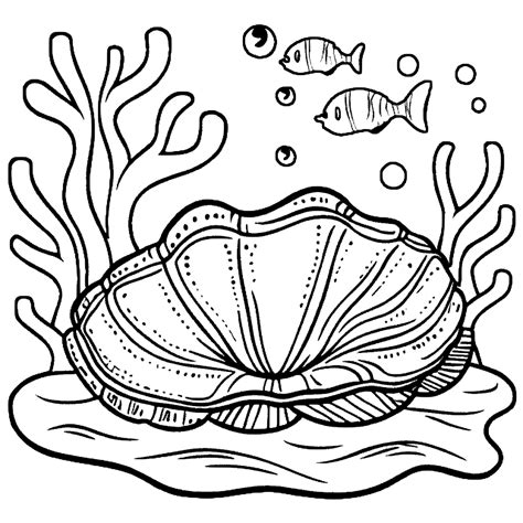 Giant Clam Coloring Page · Creative Fabrica