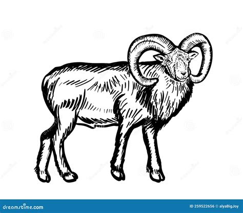 Ram Sheep Drawing Minimalistic Style For Logo Icons Emblems