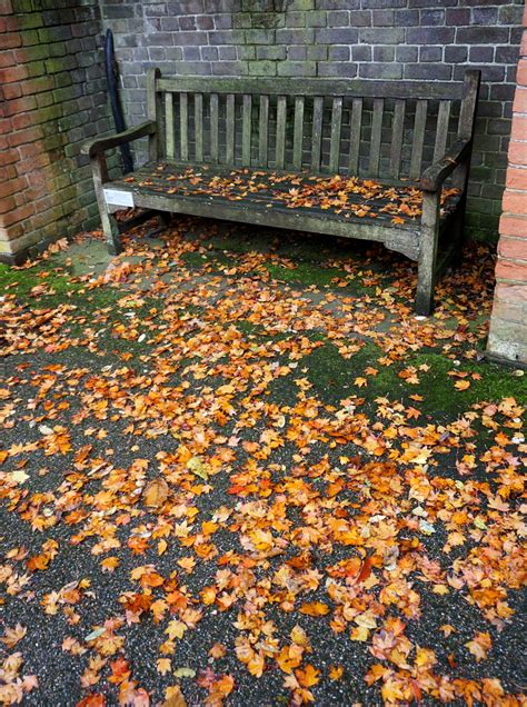 Banc De Tardor Autumn Bench Golders Hill Park London Flickr