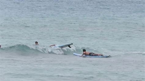 Waikiki Beach Surfer Surfing Hawaii Oahu Honolulu 20170215 1 Youtube