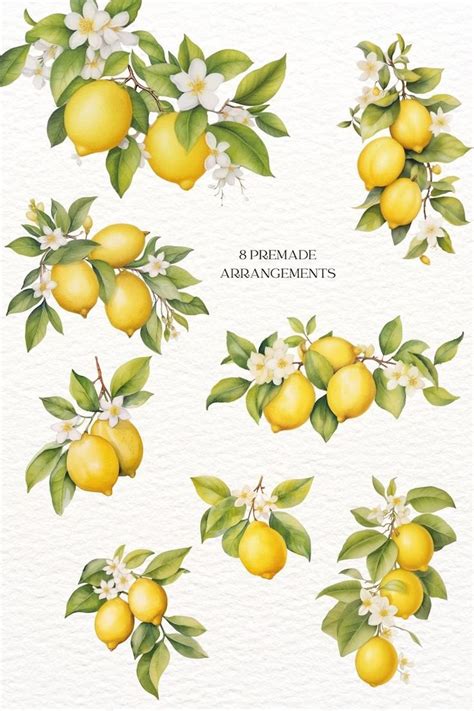 Watercolor Lemon Wedding Clipart Bundle Summer Clipart Lemon Wreath