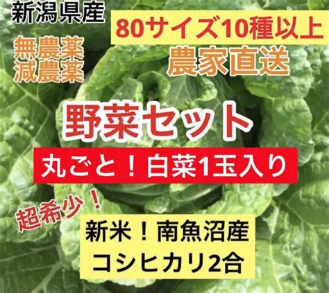 111迄！丸ごと白菜1玉新米！南魚沼産コシヒカリ入り！新潟県産野菜セット80 By メルカリ