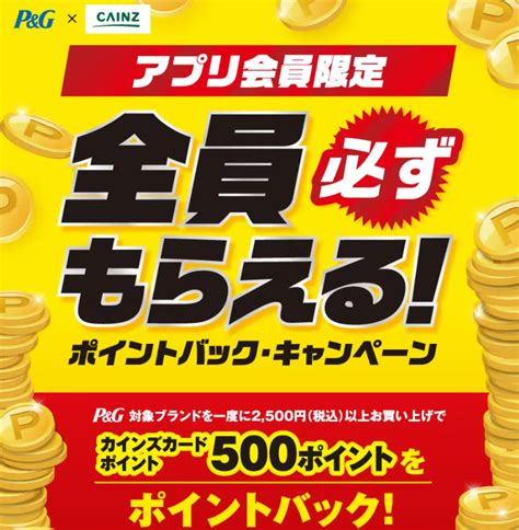 【終了】p＆g対象商品購入で500円相当還元（2500円以上購入限定。1 12～3 13）｜カインズ 最速資産運用