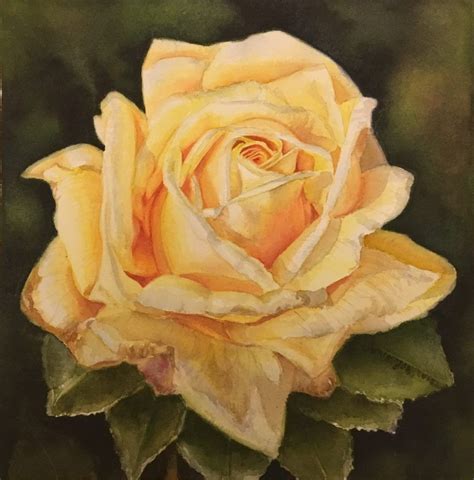 Yellow Rose Painting In Watercolor Flower Painting Watercolor Flowers