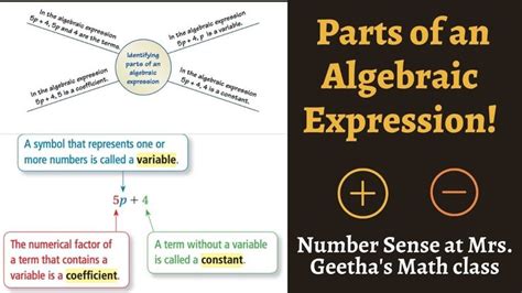 What Is A Coefficient In Math Koltenrosburke