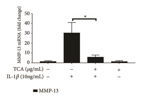 Tca Reduced The Mrna Expression Of Mmp Mmp Mmp Adamts And