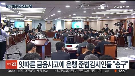 금감원 현장 국감 은행 내부통제 실패 질타 동영상 Dailymotion