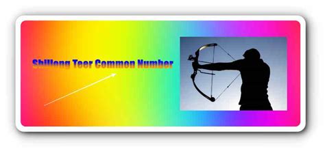 (FR/SR) Shillong Teer (Common Number) Hit Number (Target Number ...