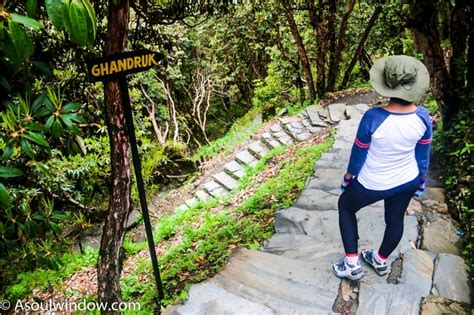 The Poonhill Trek Day 3 Ghorepani To Tadapani Annapurna Trail In