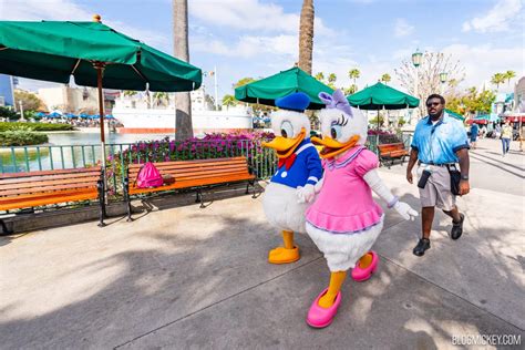 Daisy Duck Joins Donald Duck Meet And Greet At Disneys Hollywood Studios