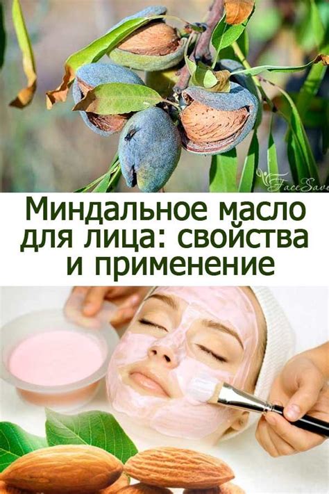 Миндальное масло для лица: свойства и применение | Life, Radish, Vegetables