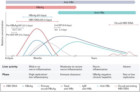 Course Of Serum Markers In Acute Resolving Hepatitis B Virus