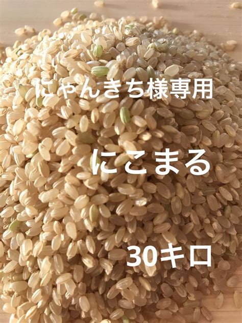 令和4年新米 京都玄米 農薬不使用 有機肥料 青米入り にこまる 10キロ Bumblebeebightca