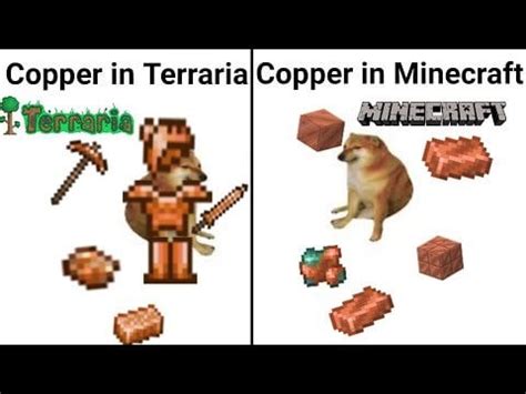 Terraria vs Minecraft memes : r/peenixsc