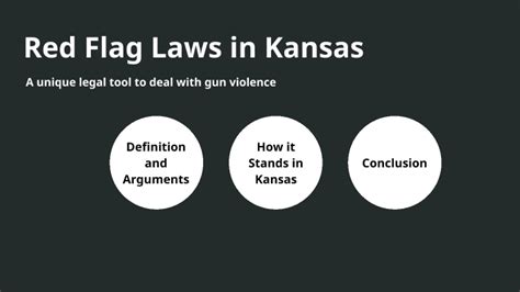 Red Flag Laws by Ivan Stevens on Prezi