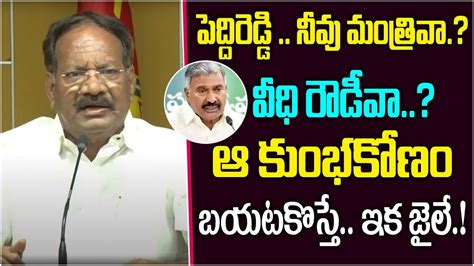 Tdp Nakka Anand Babu Serious Comments On Peddireddy Ramachandra Reddy