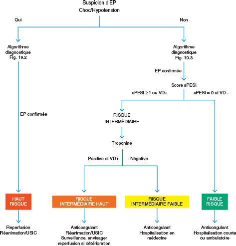 Chapitre Item Thrombose Veineuse Profonde Et Embolie