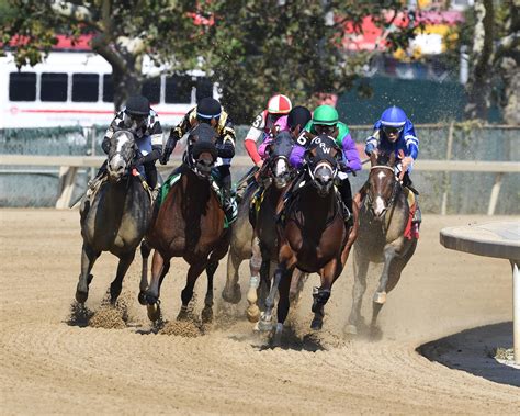 The hidden nyra com feature that predicts the next big race winner 2