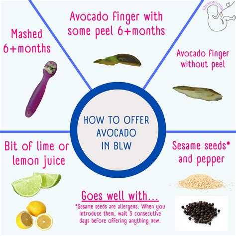 Baby Led Weaning: Avocado Guide | BLW Store
