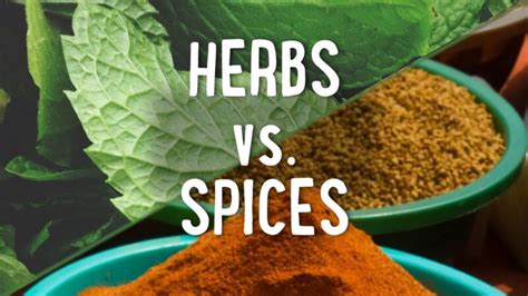 What Is The Difference Between Herbs And Spices Ragab Elattar Company