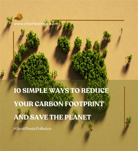 10 Simple Ways To Reduce Your Carbon Footprint And Save The Planet