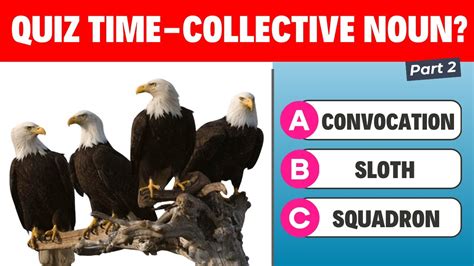 Guess The Animal Quiz Collective Nouns Guess The Collective Noun Gk