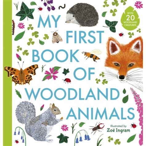 My First Book Of Woodland Animals Bridge Street Books