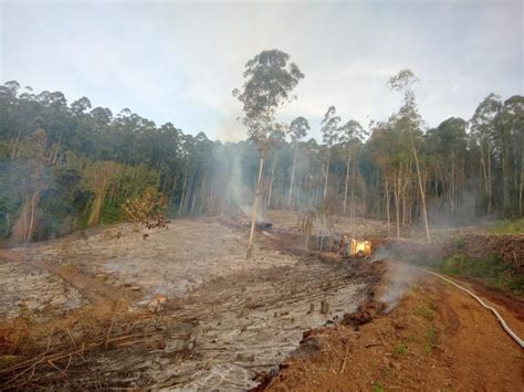 Incêndio florestal é registrado no interior de Itapiranga