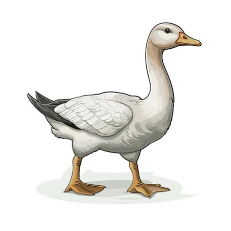 Premium Vector Goose Vector On White Background