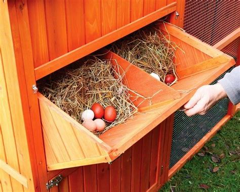 Placedanslepoulailler Chicken Barn Diy Chicken Coop Chickens Backyard