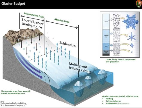 Glacier Budget showing the accumulation zone and ablation zone ...