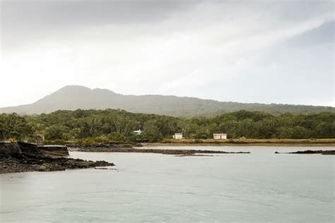 Rangitoto Volcano - The Newest of Aucklands Volcanoes