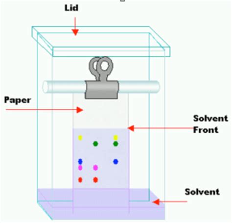 Figure B 3 Diagram Of A Tlc Procedure The Aluminum Backed Silica Gel